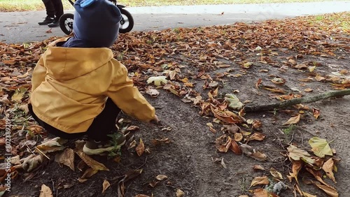 Wallpaper Mural A small child scatters leaves with a stick. The joys of the autumn season in nature in the open air.Concepts about rules of behavior, prohibitions, walks, dirt, aggression, punishment, washing clothes Torontodigital.ca