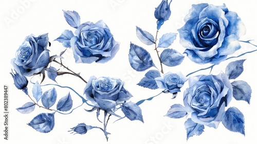 A painting of blue roses on a white background. Suitable for various design projects