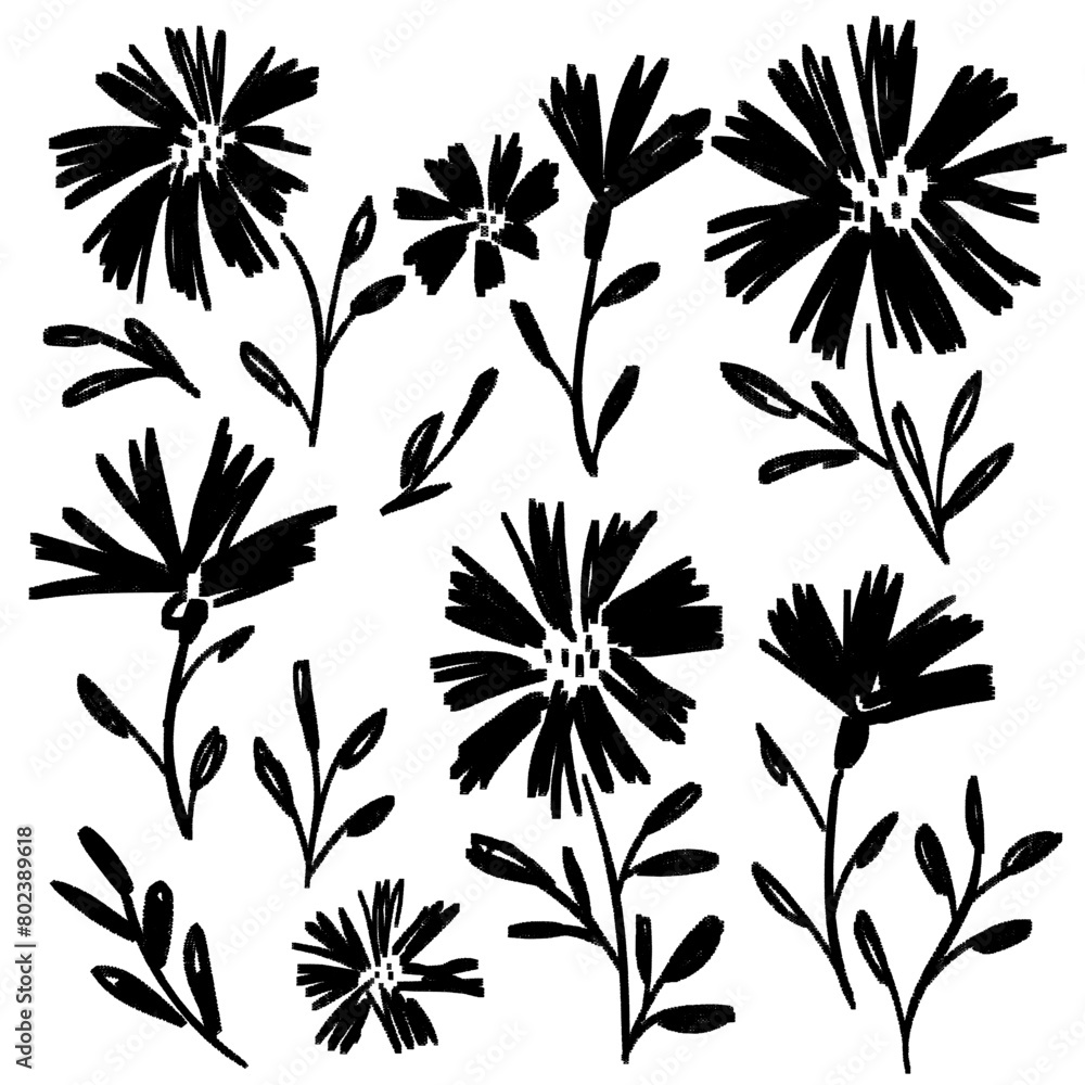 Meadow flowers set. Ink drawing floral elements, monochrome artistic botanical illustration. Hand drawn vector illustration Meadow flowers set. Ink drawing floral elements, monochrome artistic botanical illustration. Hand drawn vector illustration