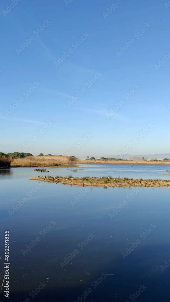 Video in the bird watching area in the natural area of the Llobregat delta, home to an important ecological and scenic value. Barcelona. Video in the bird watching area in the natural area of the Llobregat delta, home to an important ecological and scenic value. Barcelona.