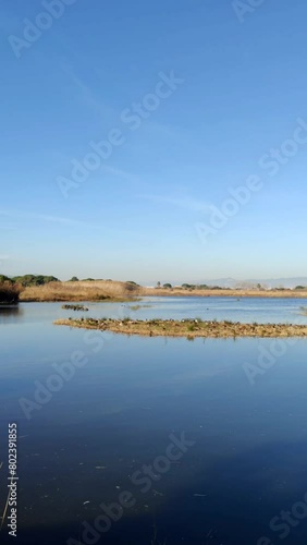 Video in the bird watching area in the natural area of the Llobregat delta, home to an important ecological and scenic value. Barcelona.