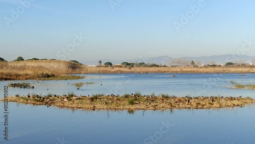 Video in the bird watching area in the natural area of the Llobregat delta, home to an important ecological and scenic value. Barcelona.