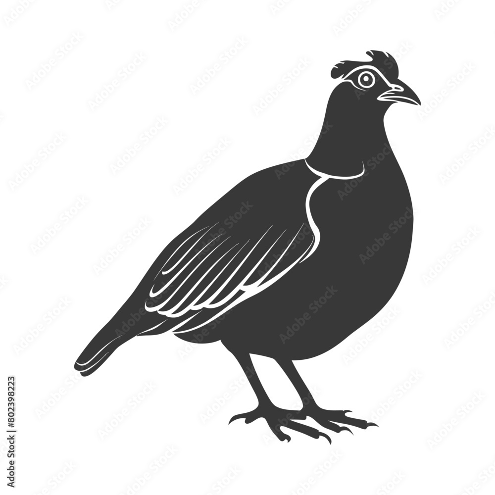 Obraz premium silhouette quail animal black color only full body