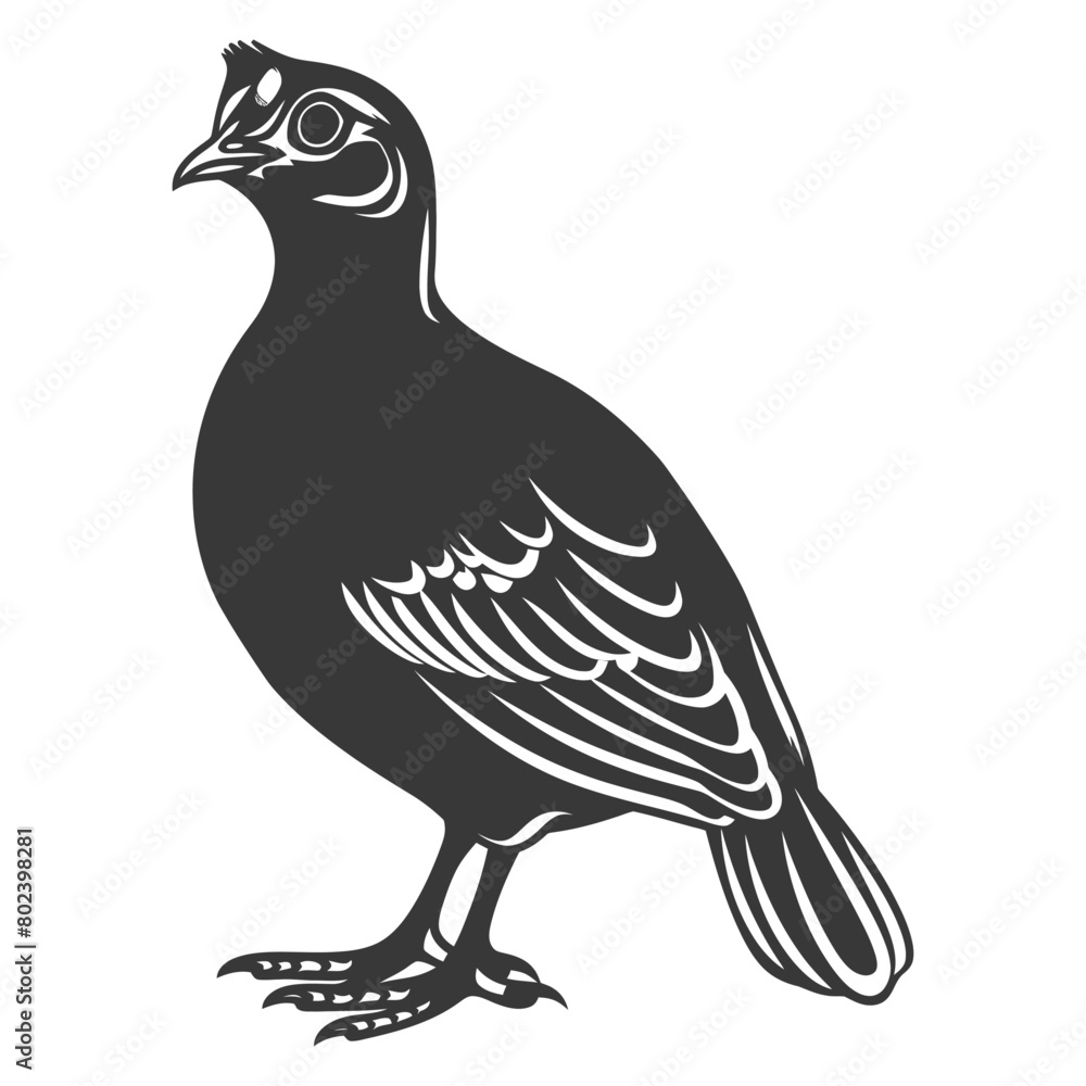 Obraz premium silhouette quail animal black color only full body