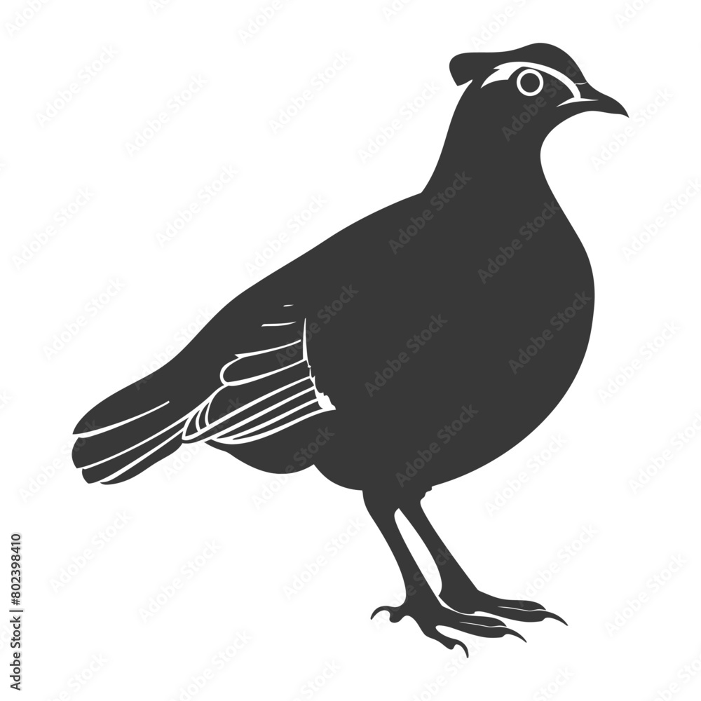 Obraz premium silhouette quail animal black color only full body
