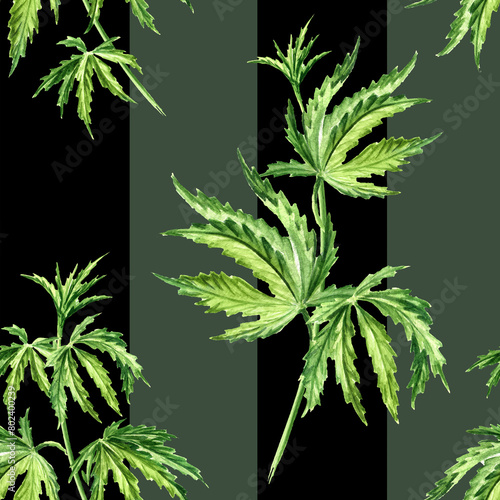 Cannabis leaves with strips. Hand drawn watercolor seamless  pattern © dariaustiugova