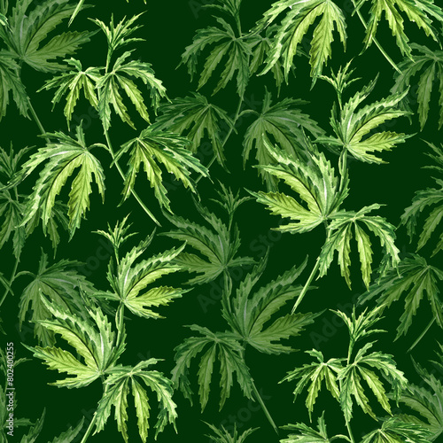 Cannabis leaves Hand  drawn watercolor seamless  pattern © dariaustiugova