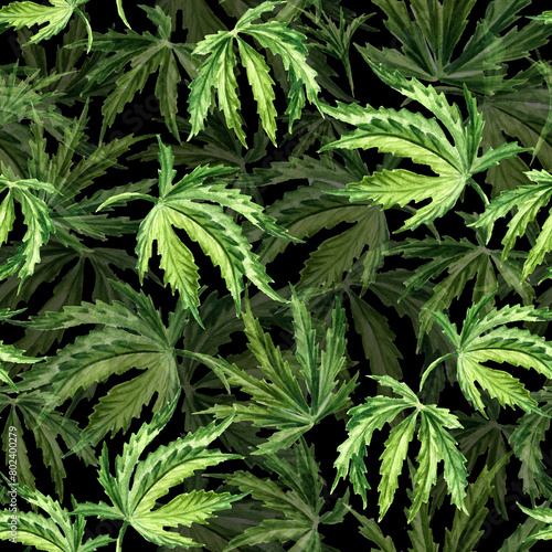 Cannabis leaves. Hand drawn watercolor seamless  pattern © dariaustiugova