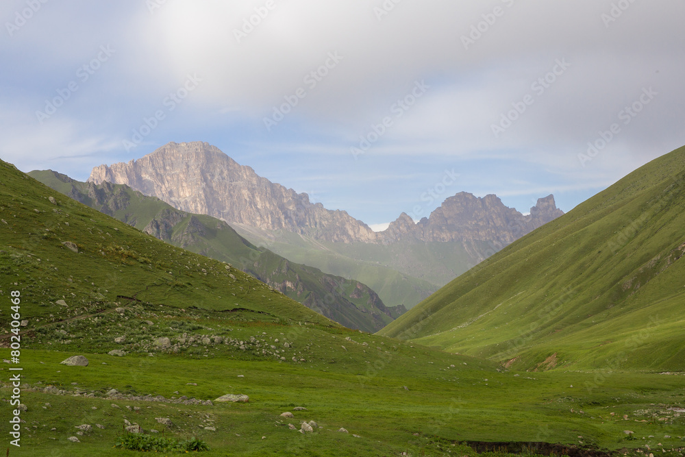 Mountain landscape. Mountain valley with alpine meadow.