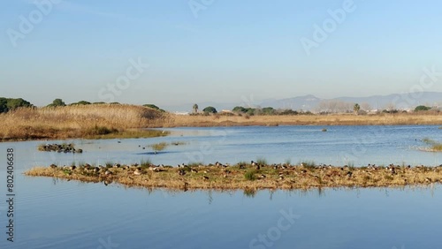 Video in the bird watching area in the natural area of the Llobregat delta, home to an important ecological and scenic value. Barcelona.