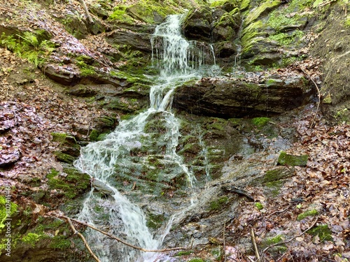 waterfall in the forest