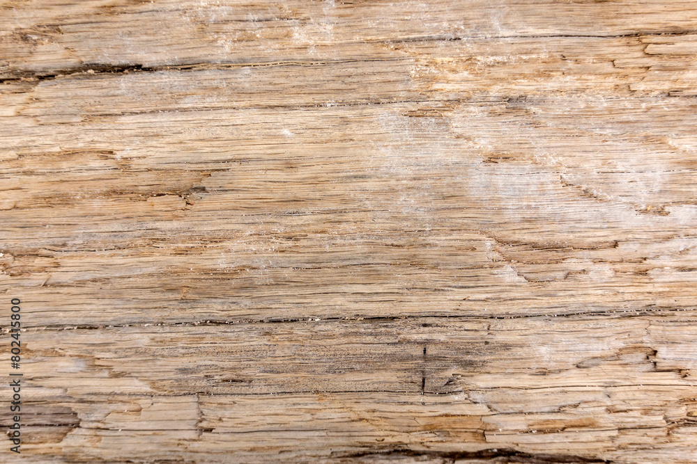 Beautiful old wooden background of wooden log without bark Beautiful old wooden background of wooden log without bark