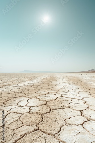 Sun-Scorched Desert Landscape Under Clear Sky