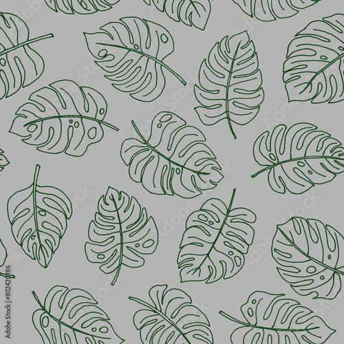 Line art doodle hand drawn green lined monstera plant leaves as summer botanical seamless pattern on grey background.Print fabric, cards, invitations