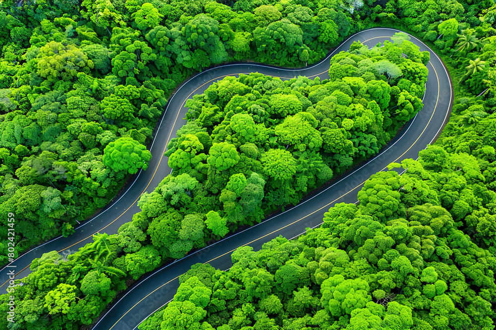Drone view of road or a path through the forest for vacation, adventure and transportation.