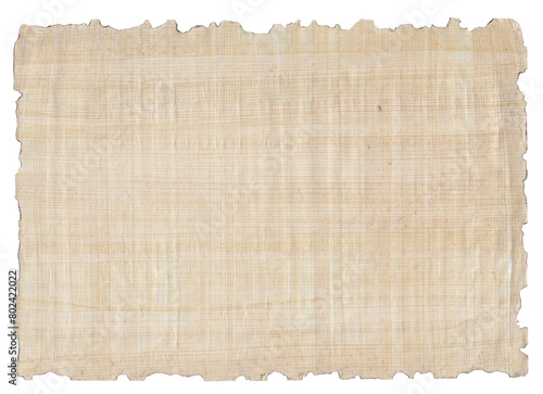 Macro of genuine handmade papyrus paper surface burned at the edges with transparent background