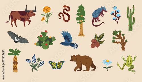 American animals and plants. Vector illustration set photo