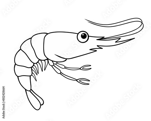 shrimp cartoon illustration