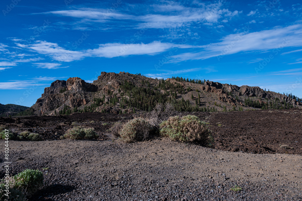 Fototapeta premium volcanic landscape las Narices, Tenerife