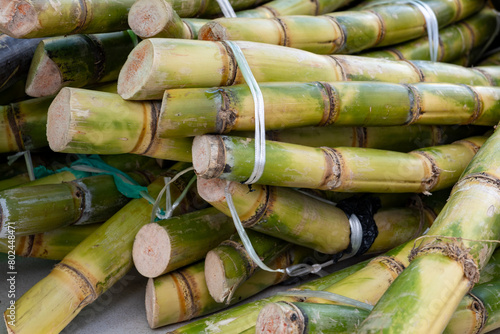 Stems of fresh sugar cane plant for squeezing juice on Portobello roan food market in London photo
