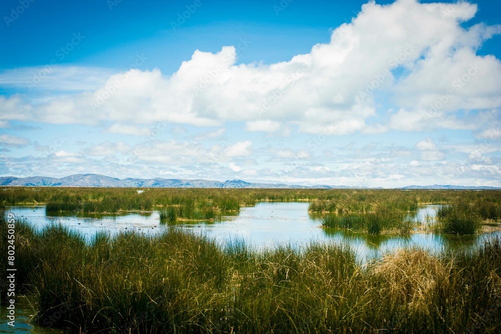 Titicaca Lake Puno Peru Andes mountain landscape background Titicaca Lake Puno Peru Andes mountain landscape background