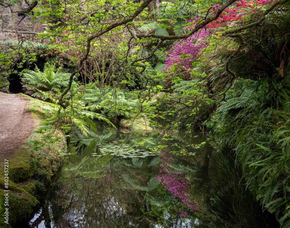 Lush vegetation and colorful plants of Terra Nostra botanical garden in Furnas, Azores Lush vegetation and colorful plants of Terra Nostra botanical garden in Furnas, Azores