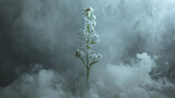   A white flower surrounded by smoke on a dark background with the caption Ethereal Beauty