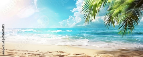Sunny summer background with sandy beach and palm tree, water, rock © MdImam