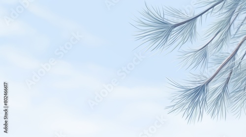 Watercolor of delicate frosted pine needles against a soft pale blue sky, water color, drawing style, isolated clear background