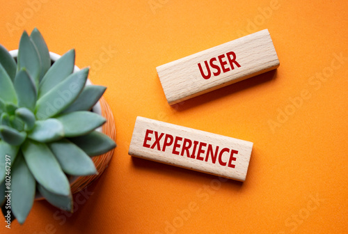 User Experience symbol. Concept word User Experience on wooden blocks. Beautiful orange background with succulent plant. Business and User Experience concept. Copy space