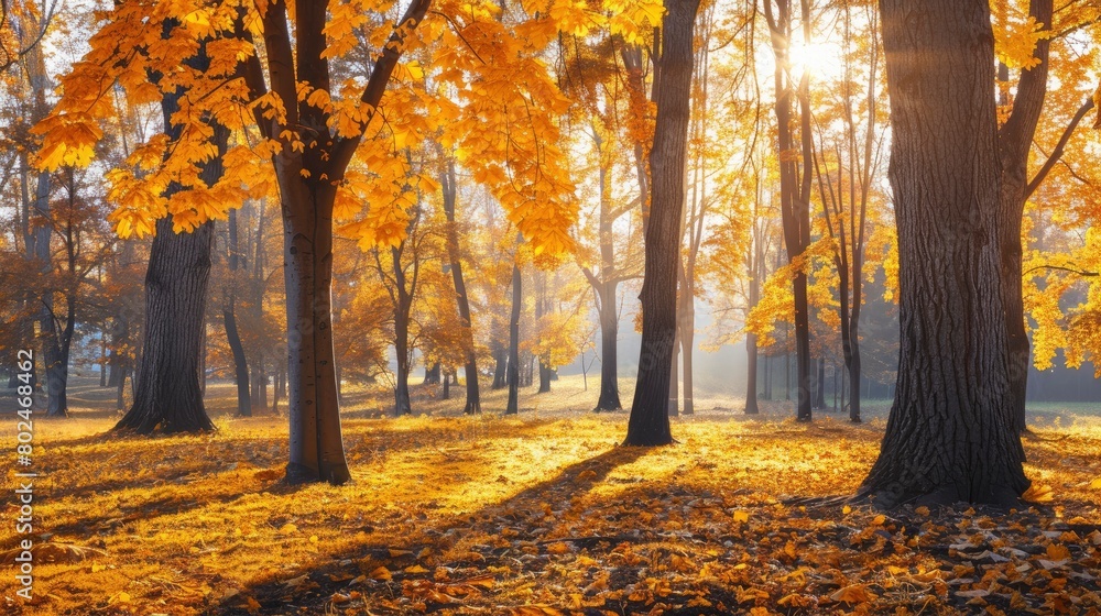 A vibrant autumn scene of trees with golden leaves, creating an enchanting and colorful backdrop for fall events.