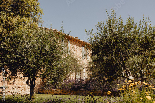 Mas provençal caché derrière les oliviers