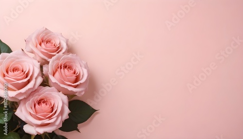 Pink roses on a light pink background