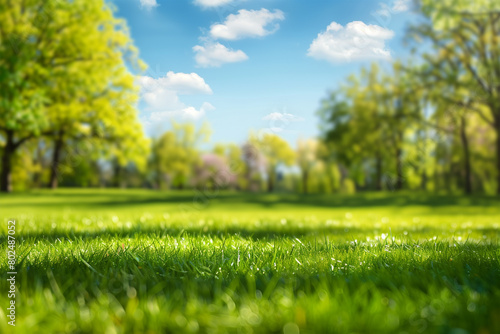 Close Up Beautiful Spring Lawn With Blurred Green Trees on Background