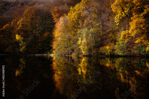 autumn at the lake