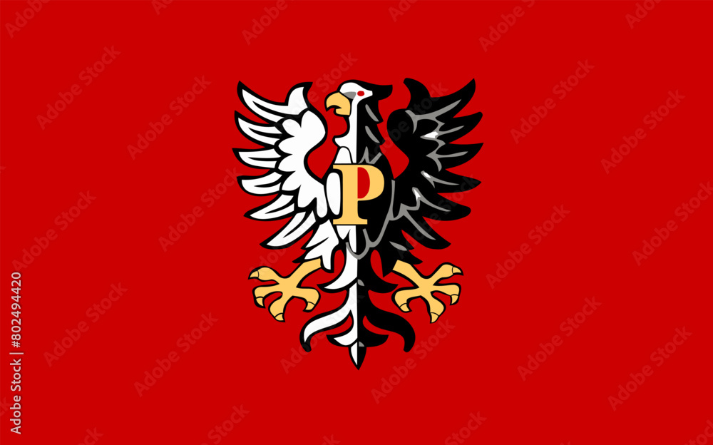 Flag of Plock County Flag of Plock County