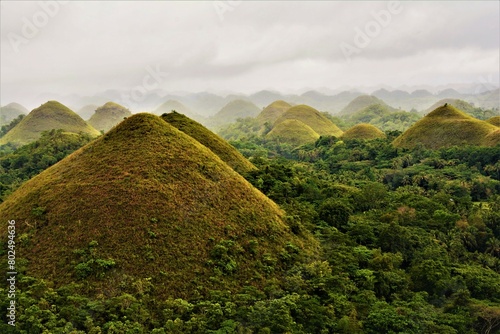 The Chocolate Hills - an interesting geological formation (conical karst hill range) and famous tourist attraction in Bohol (Bohol province, Philippines)