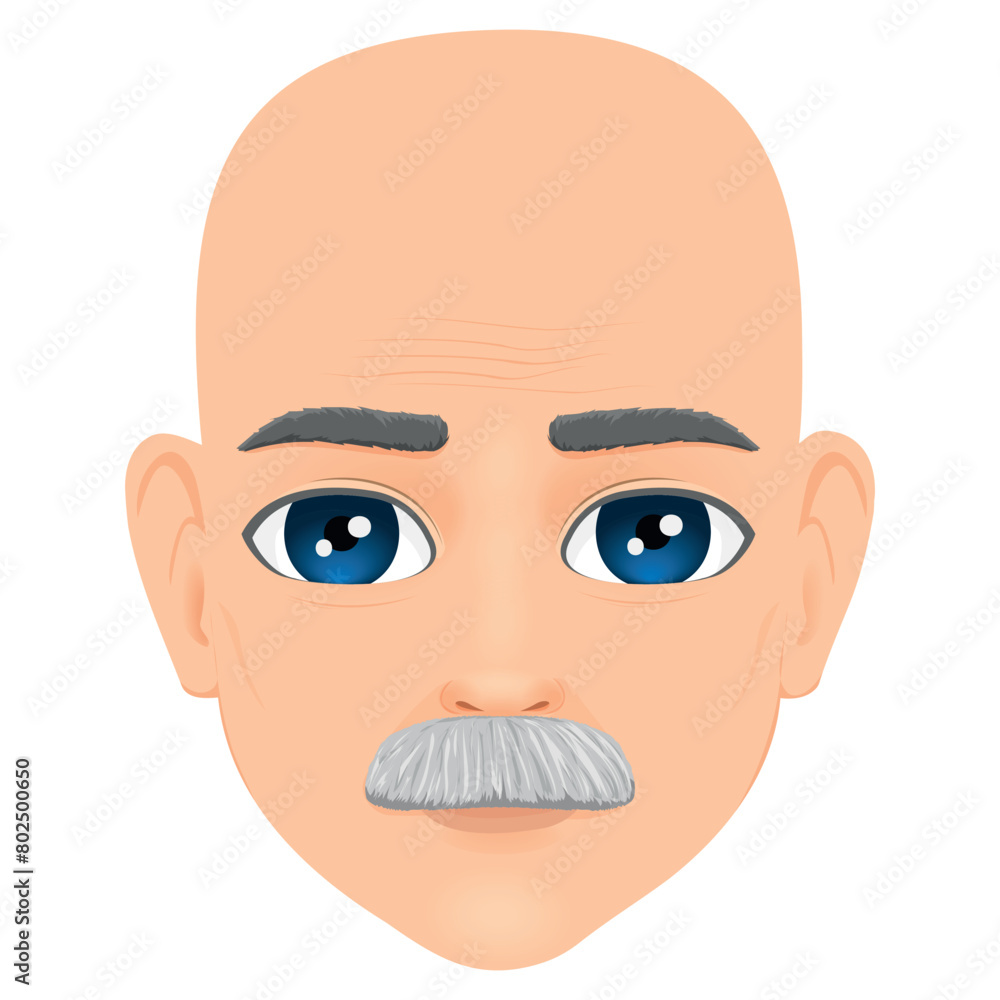 portrait of bald and bearded old man portrait of bald and bearded old man