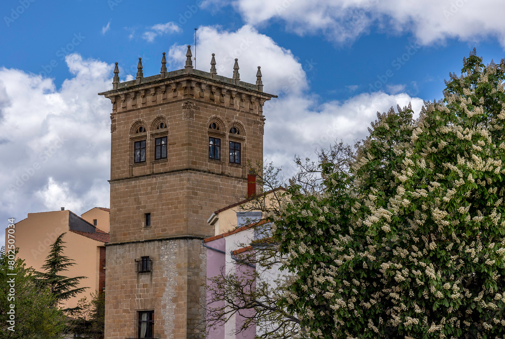Palace of Los Condes de Gómara, located in the city of Soria - Spain - autonomic province of Castilla y Leon