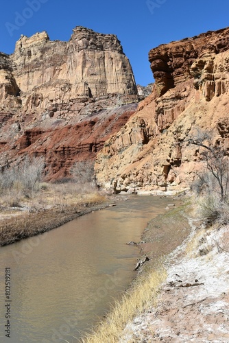 river in the canyon