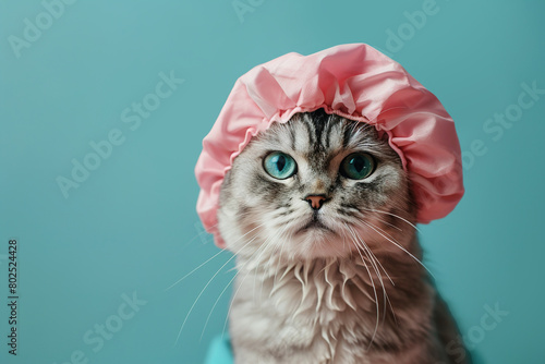 adorable tabby fluffy cat in pink shower cap on a blue background