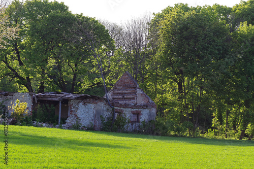 Ruins of an old house in the forest.