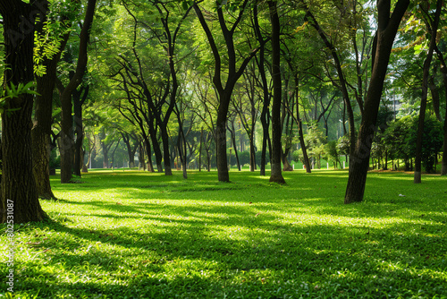 A peaceful park with green lawns and tall trees providing shade.