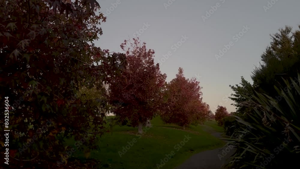 Sunset view at a public park in East Auckland, Autumn, New Zealand. Sunset view at a public park in East Auckland, Autumn, New Zealand.