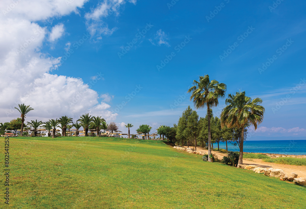 Palm trees on the green coast of the Mediterranean Sea in Cyprus. Golf field with palm trees and blue sky