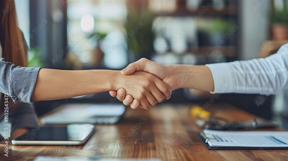 handshaking partners ,agreement concept handshaking partners ,agreement concept