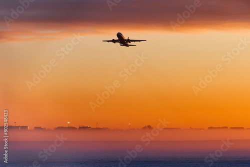 The plane is landing at dawn in heavy fog in winter © korsarid