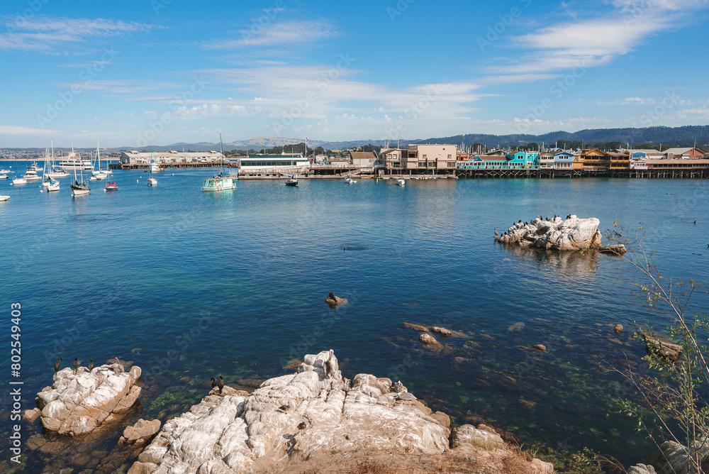 Serene coastal scene with rocky outcrops, birds, colorful boats in the bay, and waterfront buildings. Features rolling hills in the background. Ideal for sea lovers.