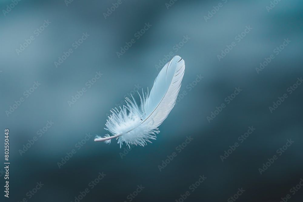 Fototapeta premium A single white feather floating in mid-air.