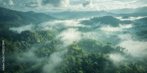  Fog in  Forest Aerial view Generative AI